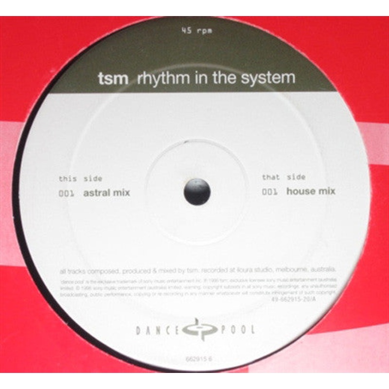 TSM – Rhythm In The System – 12, Single – Very Good (VG)
