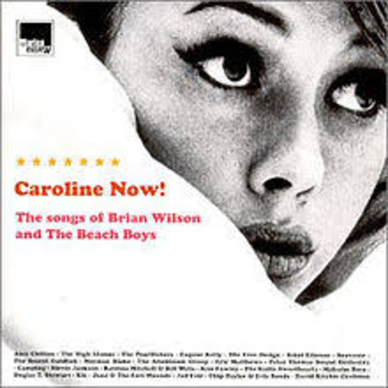 Various Artists – Caroline Now! The Songs of Brian Wilson and The Beach Boys – CD