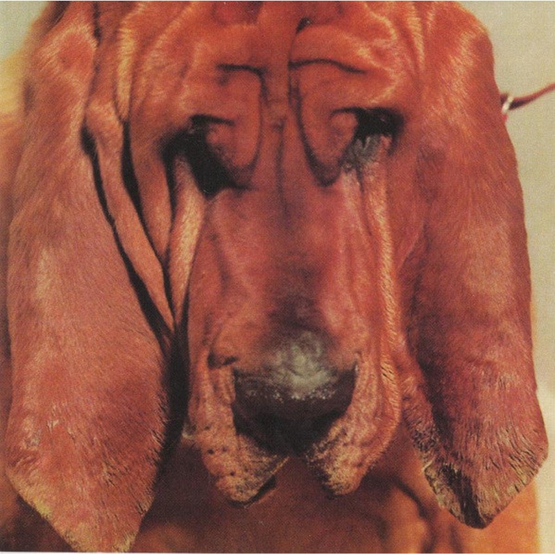 USED CD – Ty Segall  Goodbye Bread