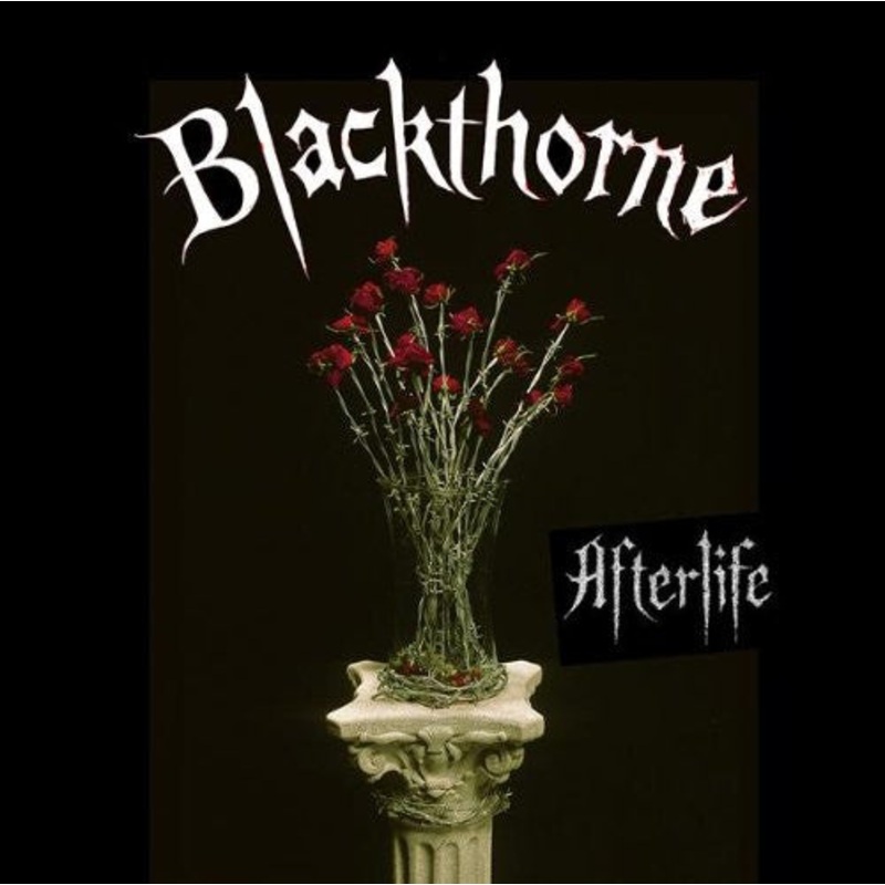 USED CD – Blackthorne  Afterlife