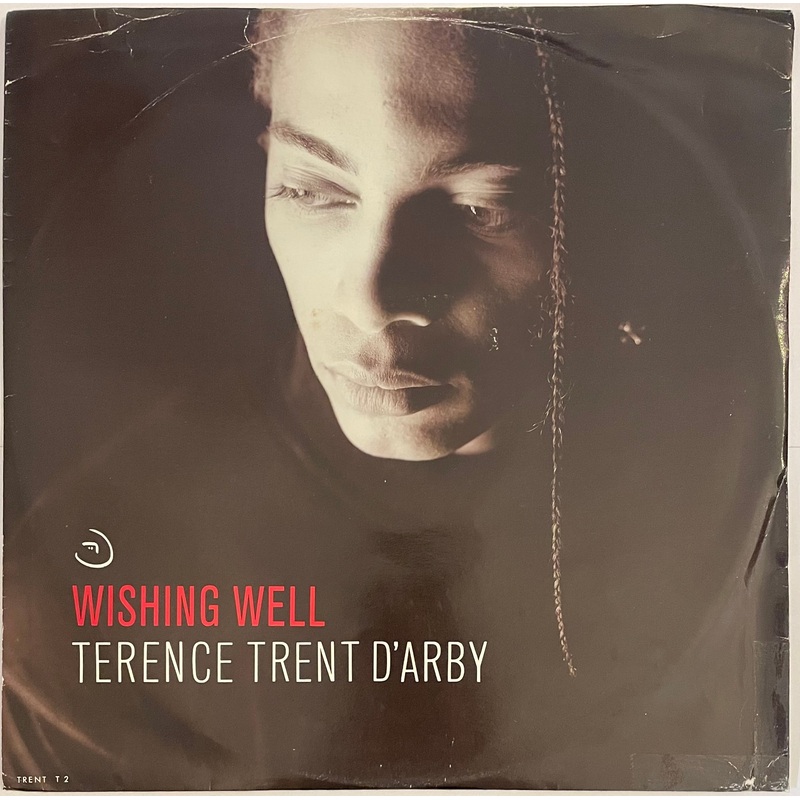 Terence Trent D’Arby – Wishing Well 12 Single