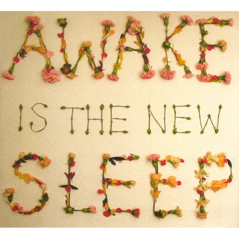 USED CD – Ben Lee  Awake Is The New Sleep