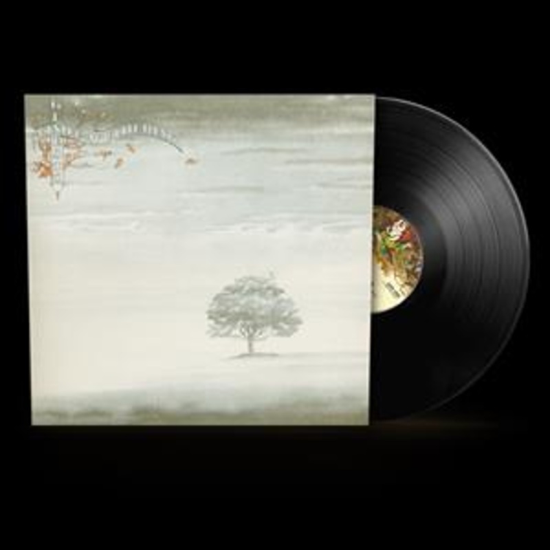Wind & Wuthering