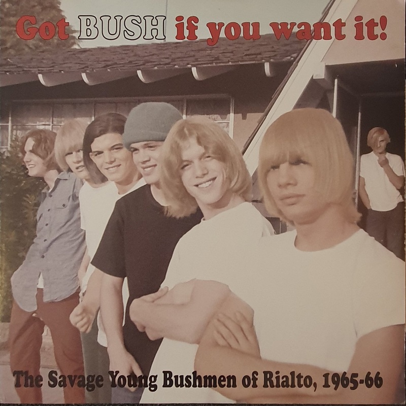 The Bush – Got Bush If You Want It! Lp