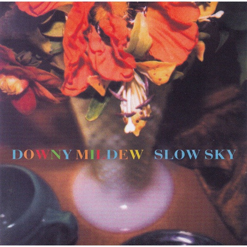 USED CD – Downy Mildew  Slow Sky