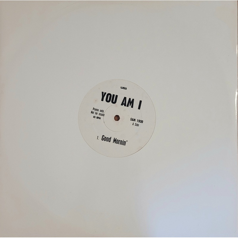 You Am I – Good Mornin’ 12 Single (Promo)
