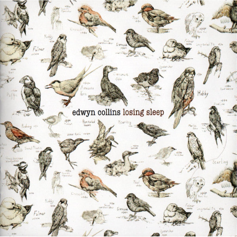 USED CD – Edwyn Collins  Losing Sleep