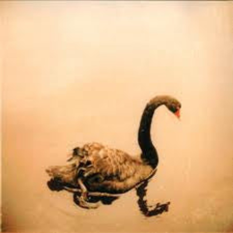 USED CD – Crooked Fingers  Crooked Fingers