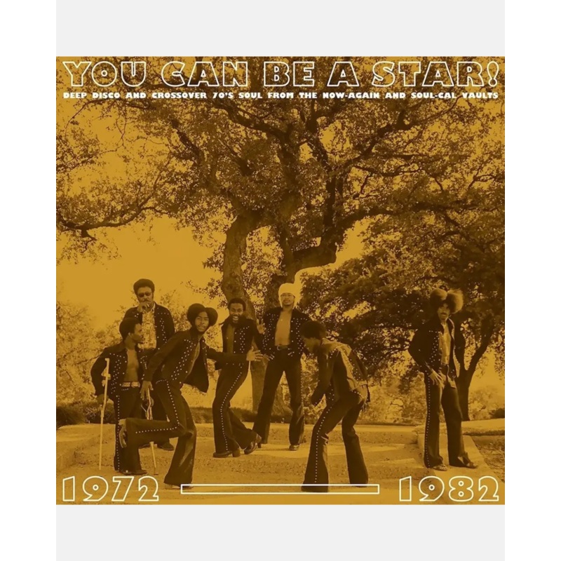 Various Artists – You Can Be A Star (Deep Disco & Soul 1972-1982)