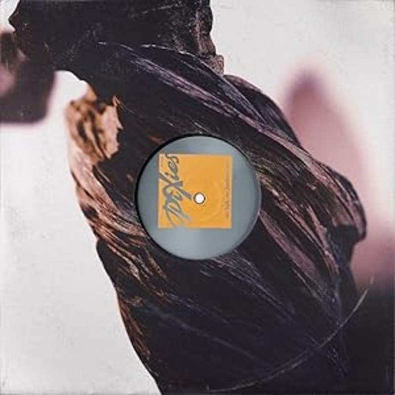 Pixies – The Night The Zombies Came Lp (Ltd Crystal & Red Smoky)