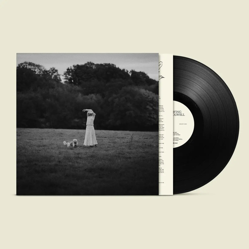Yoshika Colwell – On The Wing