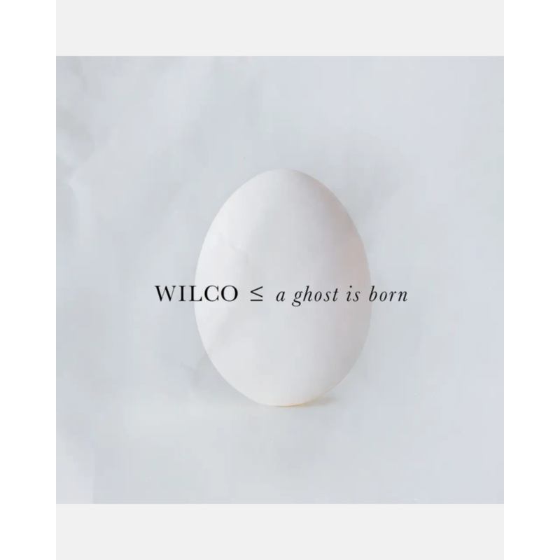 Wilco – A Ghost is Born|LPx2 Black Vinyl|Deluxe Edition: LPx9 + CDx4