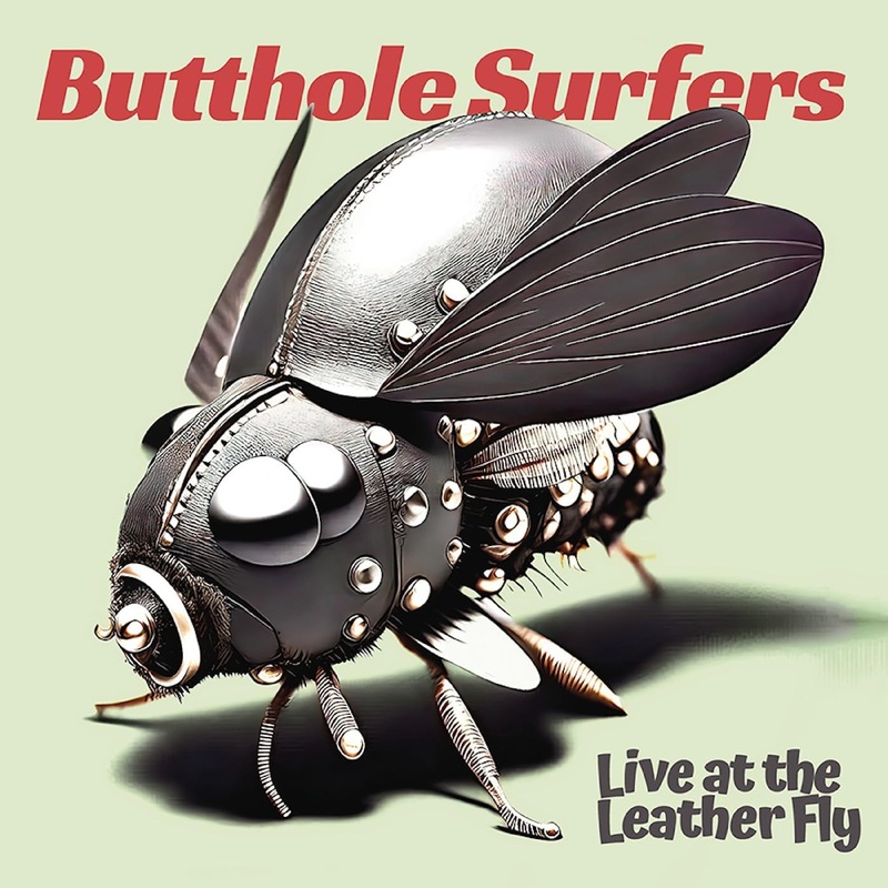 Butthole Surfers  Live At The Leather Fly Lp (Ltd Pink)