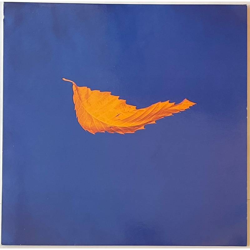 New Order – True Faith / 1963 12 Single