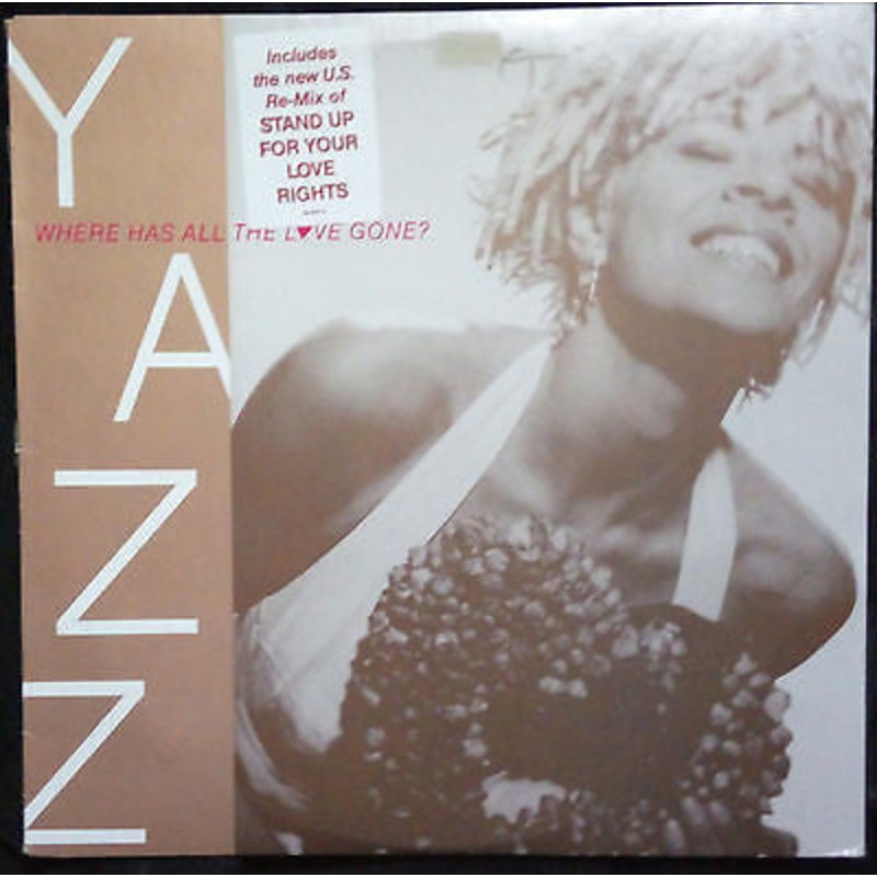 Yazz – Where Has All The Love Gone? – 12 – Near Mint (NM or M-)