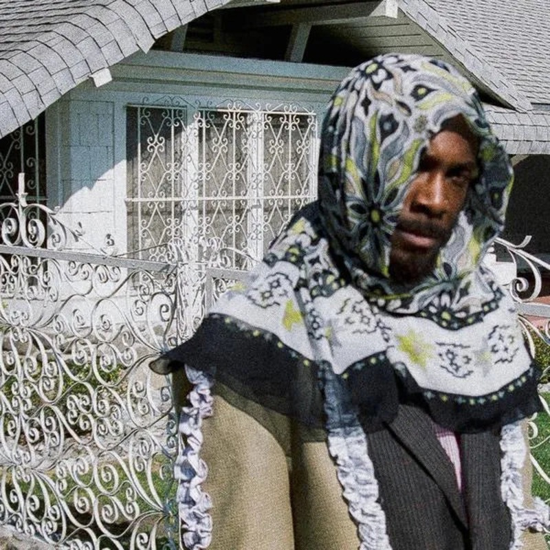 JPEGMAFIA – All My Heroes Are Cornballs Lp (Ltd Indie Exclusive)