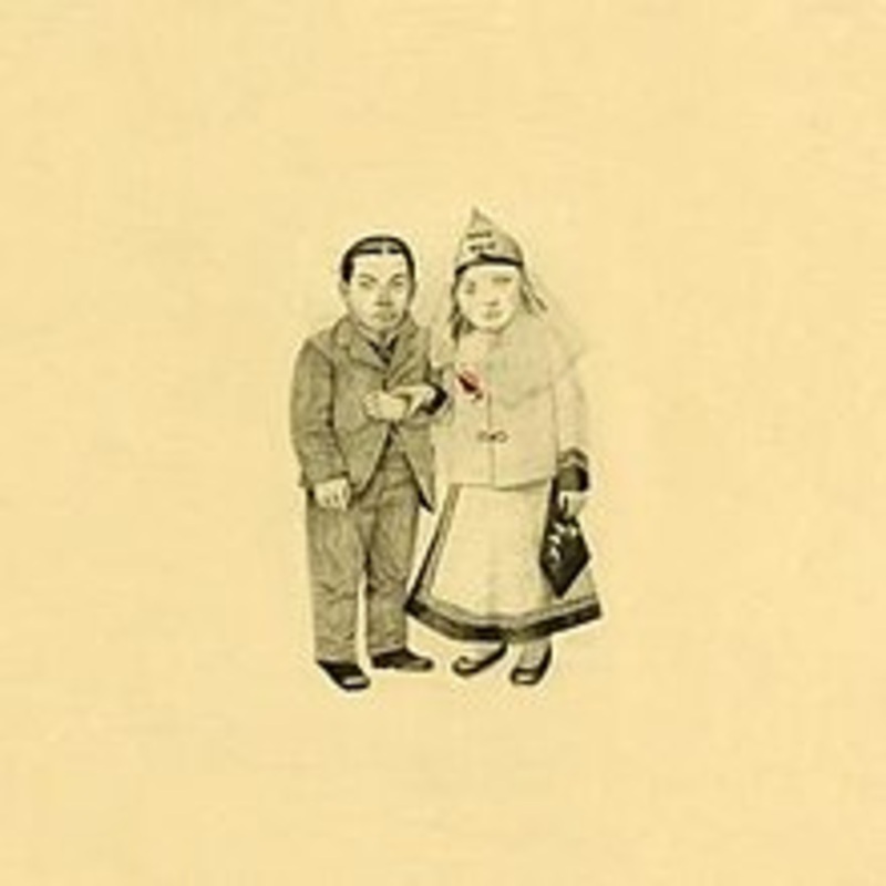 2LP – The Decemberists – The Crane Wife