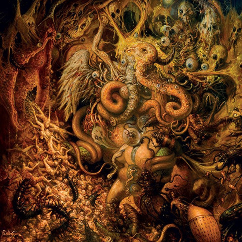 USED CD – Stav  Meditate To Kill