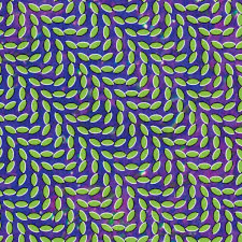 Animal Collective – Merriweather Post Pavillion – CD