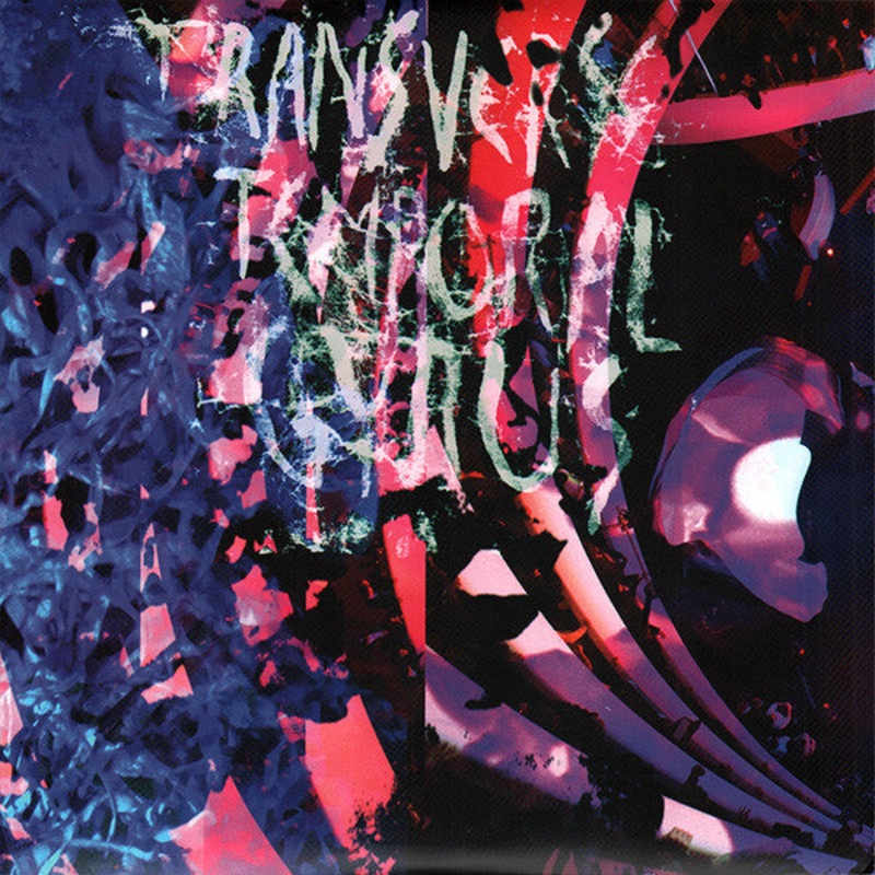 Animal Collective – Transverse Temporal Gyrus – LP