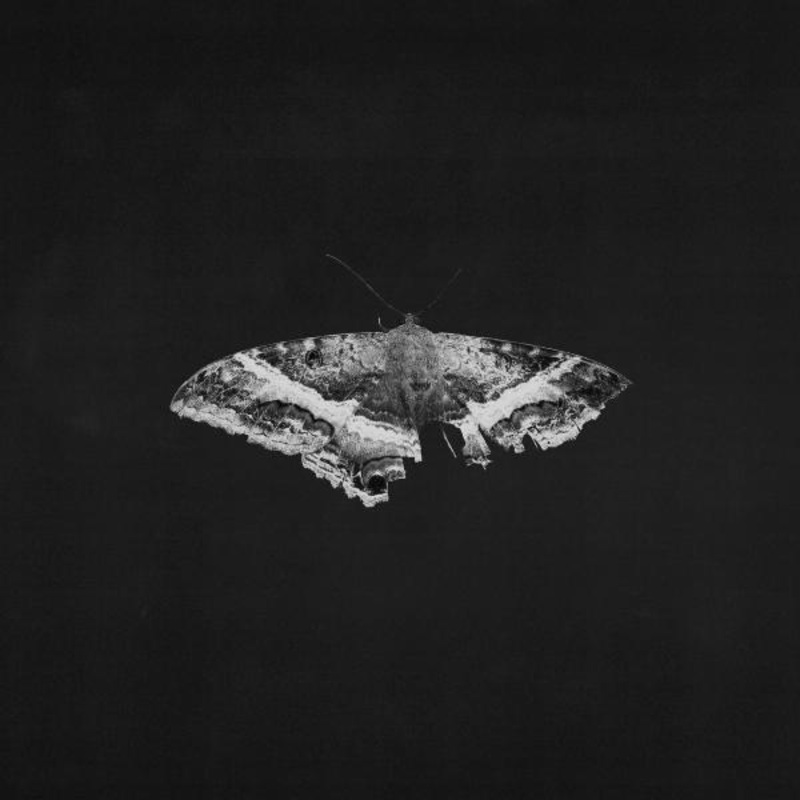 Kendrick Lamar – To Pimp A Butterfly (10 Year Anniversary) Lp (Ltd Coloured)