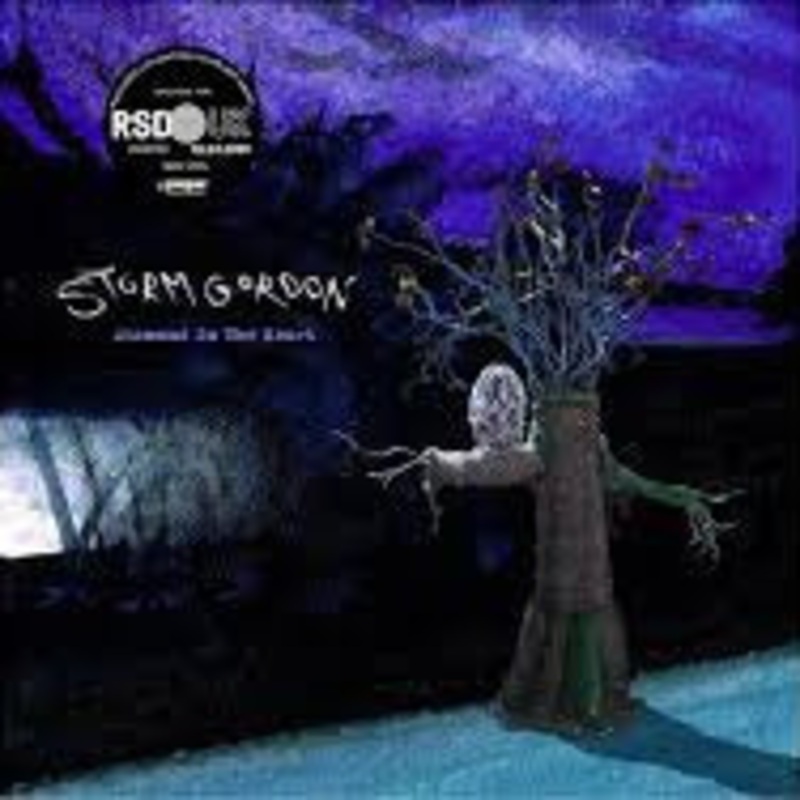 Storm Gordon – Diamond In The Heart Ep (RSD 2020)
