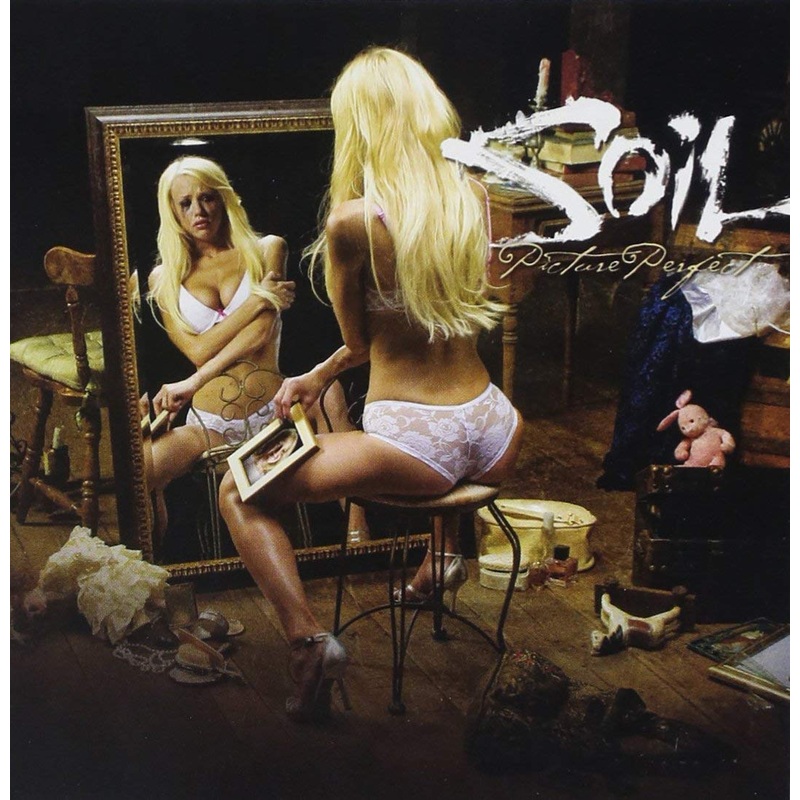 Soil – Picture Perfect USED CD