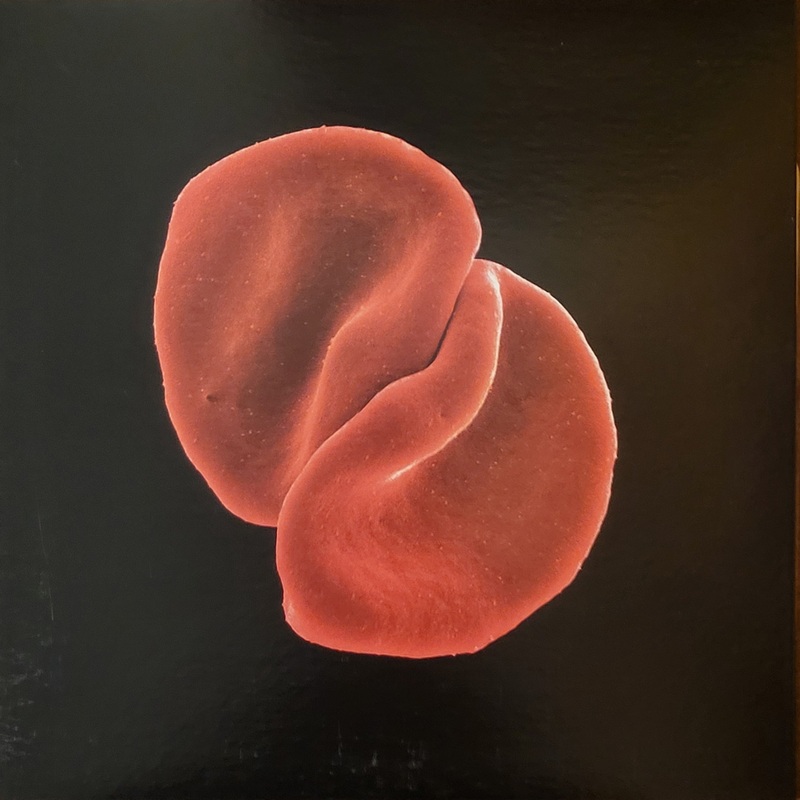 Peter Gabriel – Scratch My Back Lp
