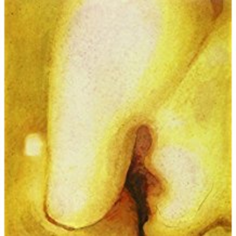 2LP – Smashing Pumpkins – Pisces Iscariot