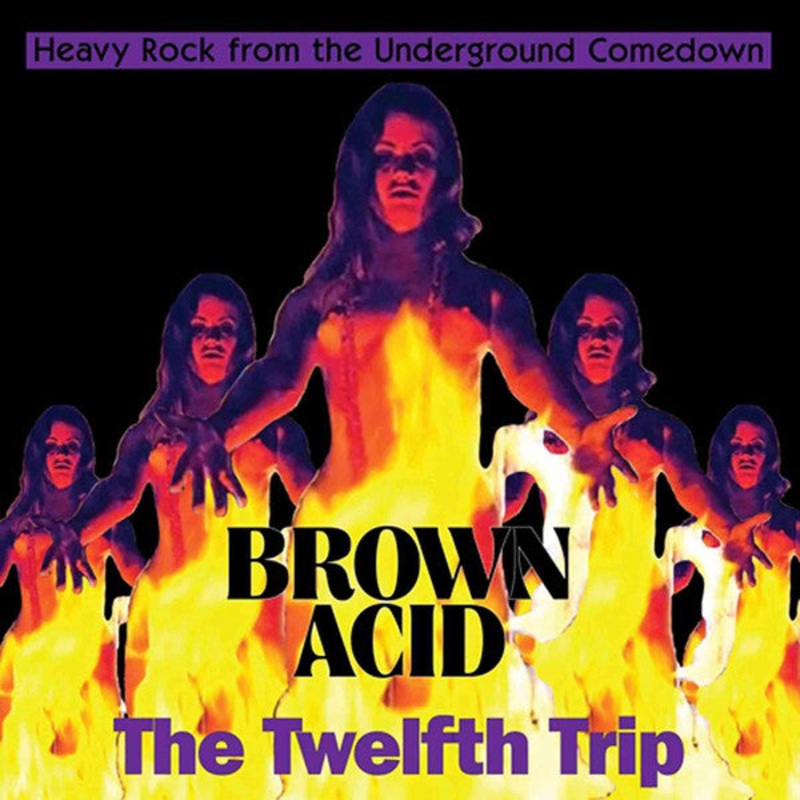 CD – Various  Brown Acid: The Twelfth Trip (Heavy Rock From The Underground Comedown)