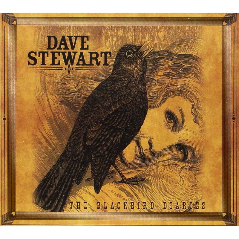 USED CD – Dave Stewart  The Blackbird Diaries
