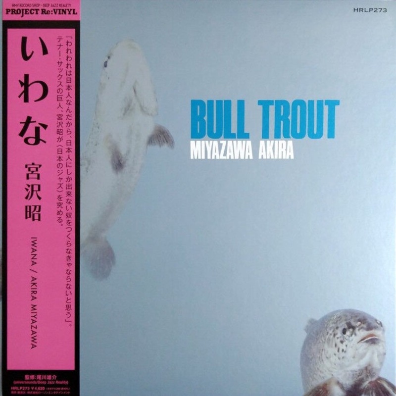Akira Miyazawa  Bull Trout