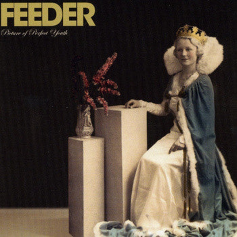 USED 2CD – Feeder  Picture Of Perfect Youth