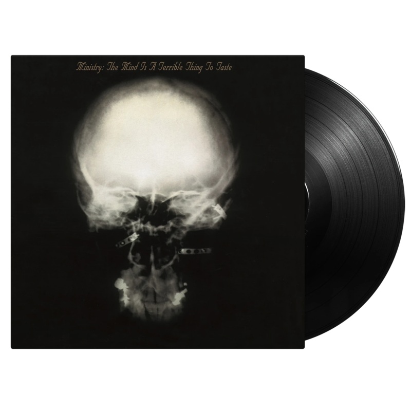 The Mind Is A Terrible Thing To Taste – Vinyl