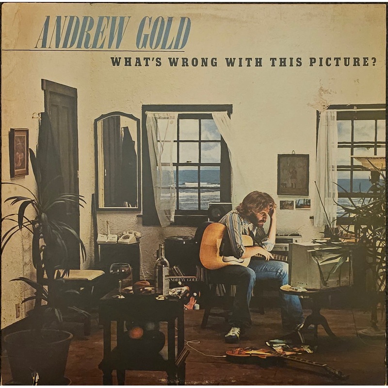 Andrew Gold – What’s Wrong With This Picture? Lp