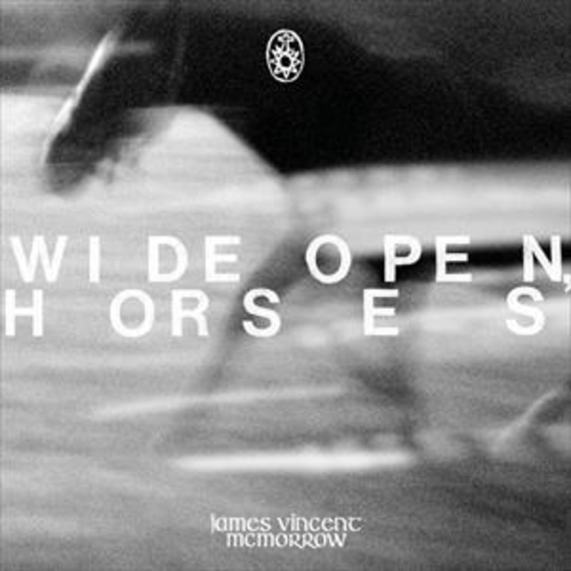 Wide Open Horses