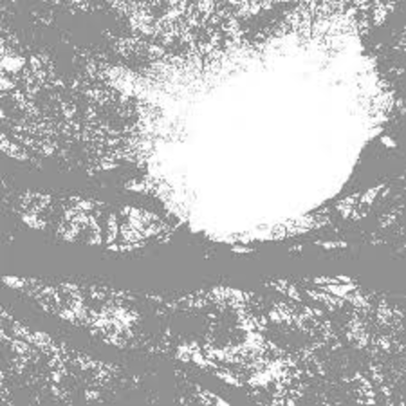 Comets on Fire – Field Recordings from the Sun – CD