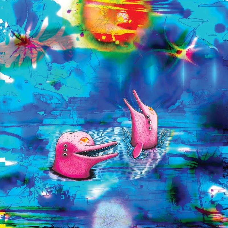 Anteloper  Pink Dolphins