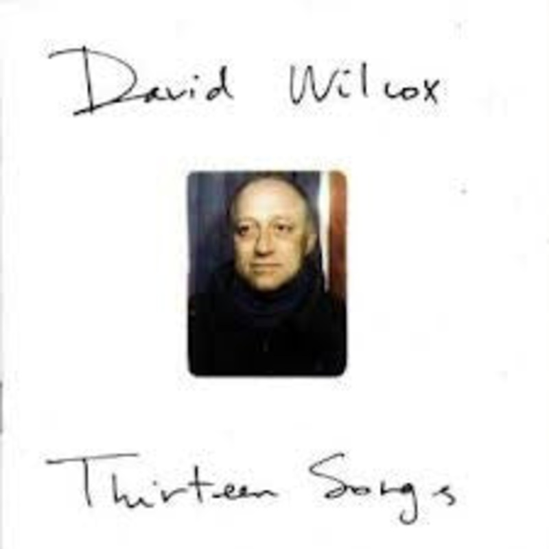 USED CD – David Wilcox  Thirteen Songs