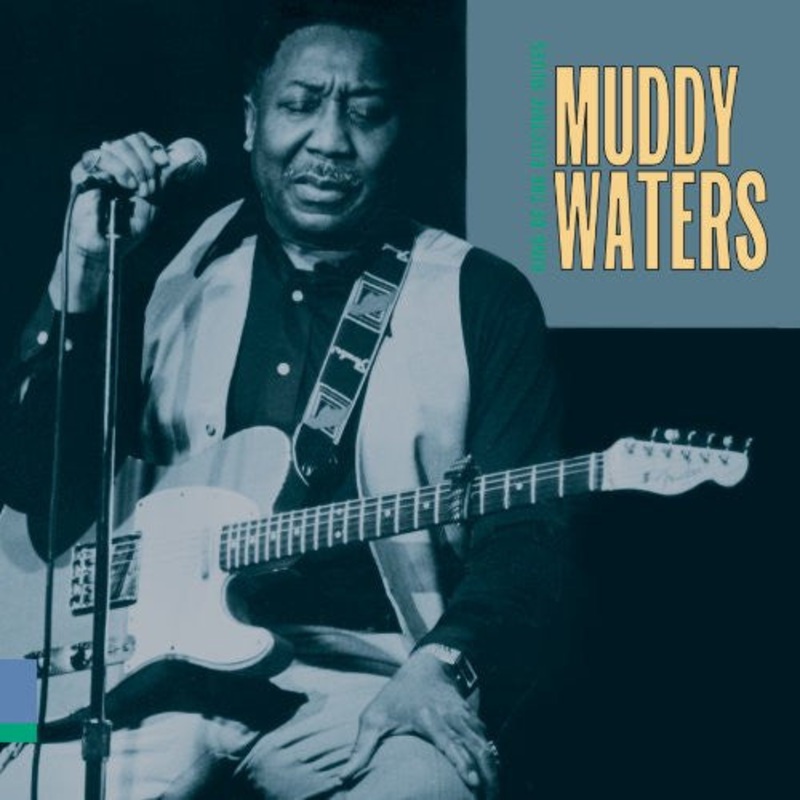 USED CD – Muddy Waters  King Of The Electric Blues