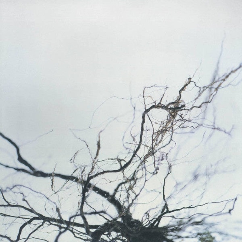Yutaka Hirose – Nova + 4