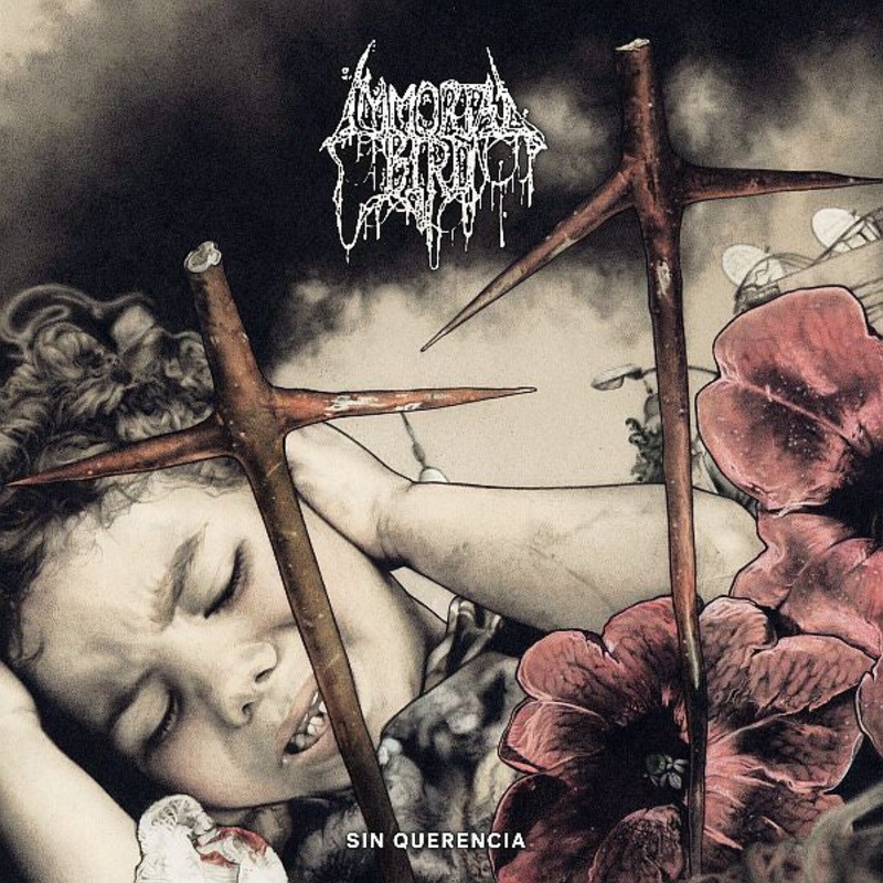 IMMORTAL BIRD – Sin Querencia LP (Pink/Black Merge Vinyl)