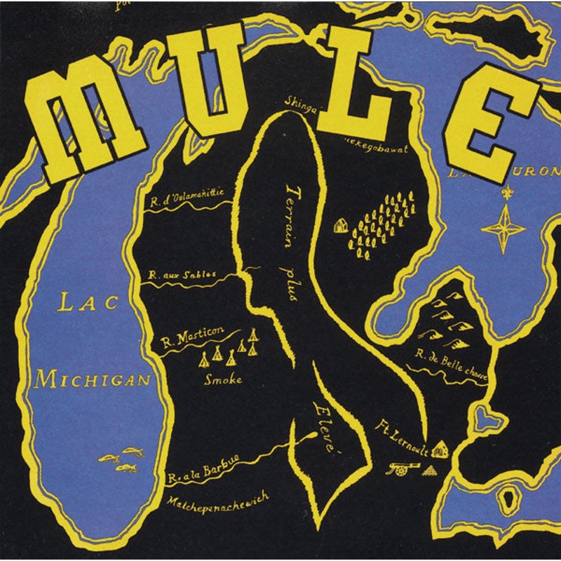 USED CD – Mule  Mule