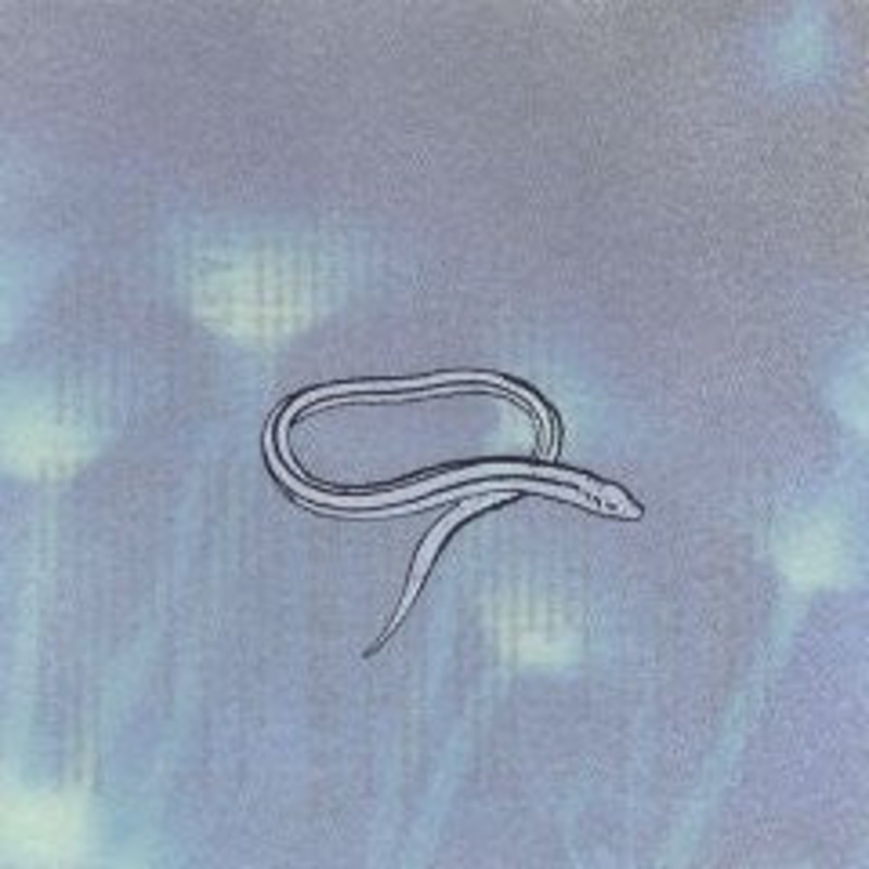 USED CD – Crooked Fingers  Bring On The Snakes