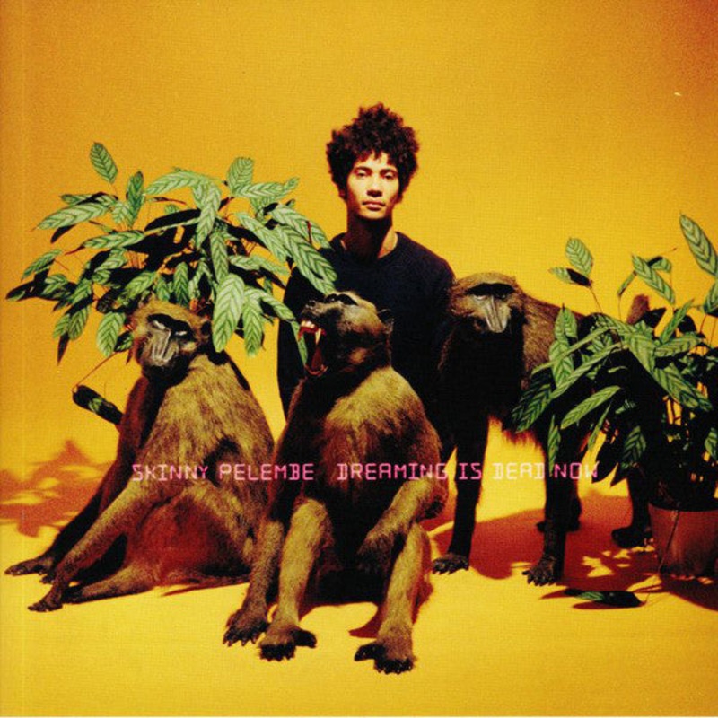 Skinny Pelembe – Dreaming Is Dead Now – LP, Album – Mint (M)