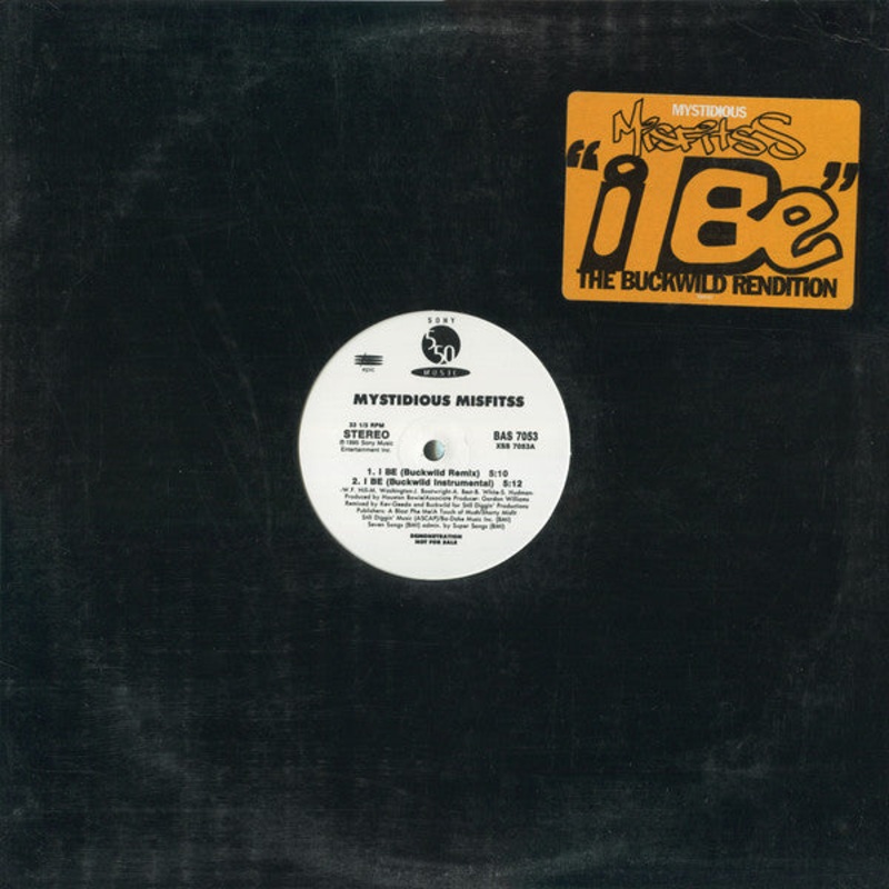 Mystidious Misfitss – I Be – The Buckwild Rendition – 12, Promo – Near Mint (NM or M-)