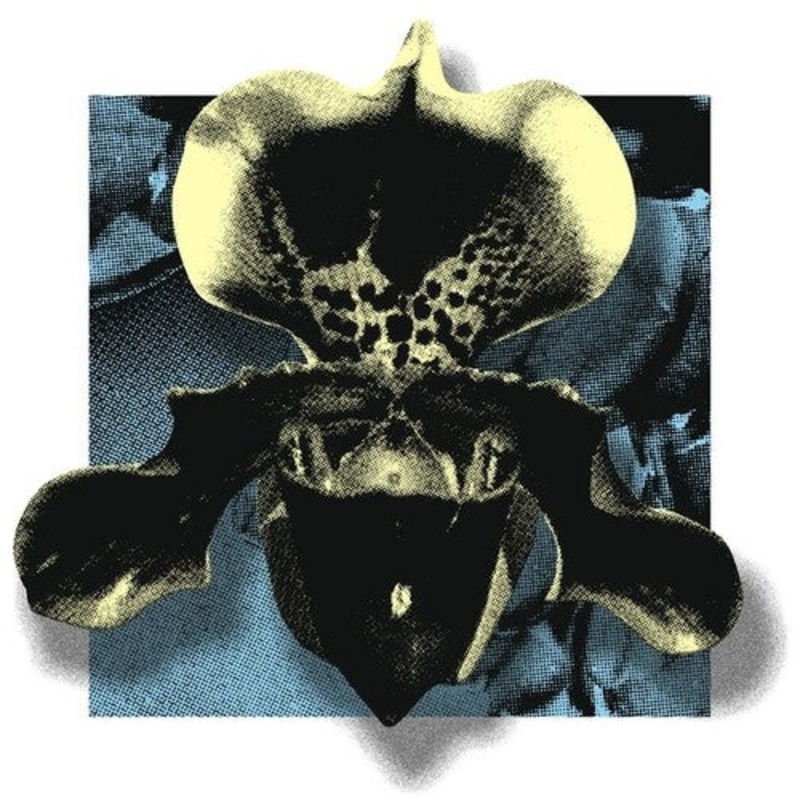 Nowhere02 / Various
