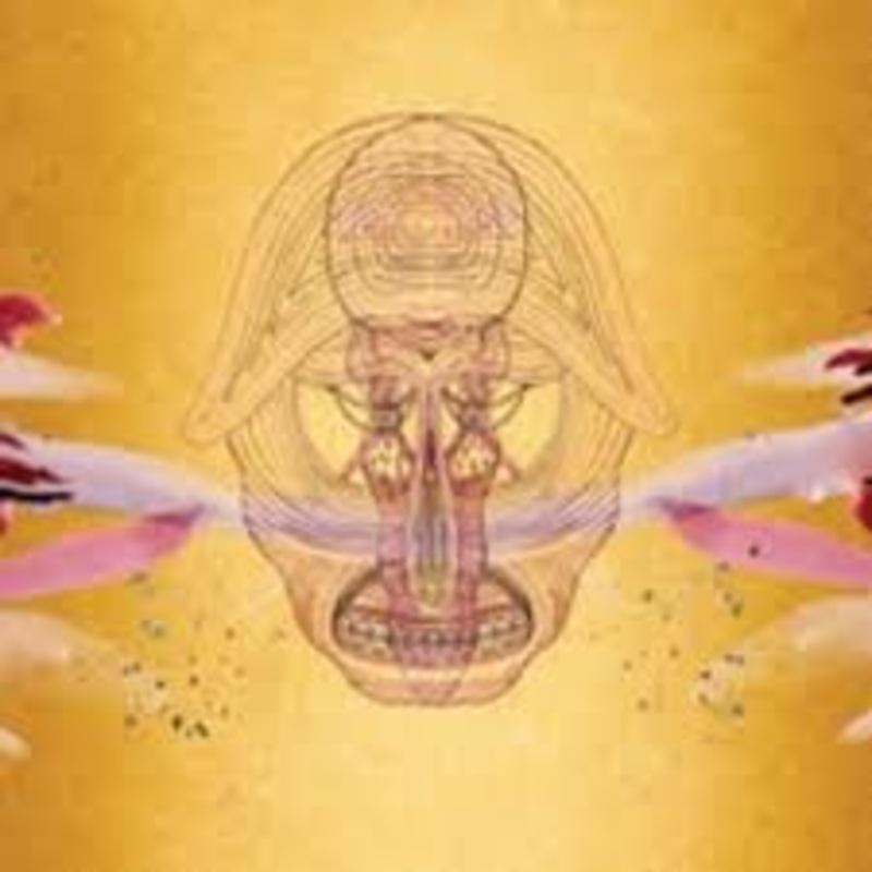 Devendra Banhart – What Will We Be – CD