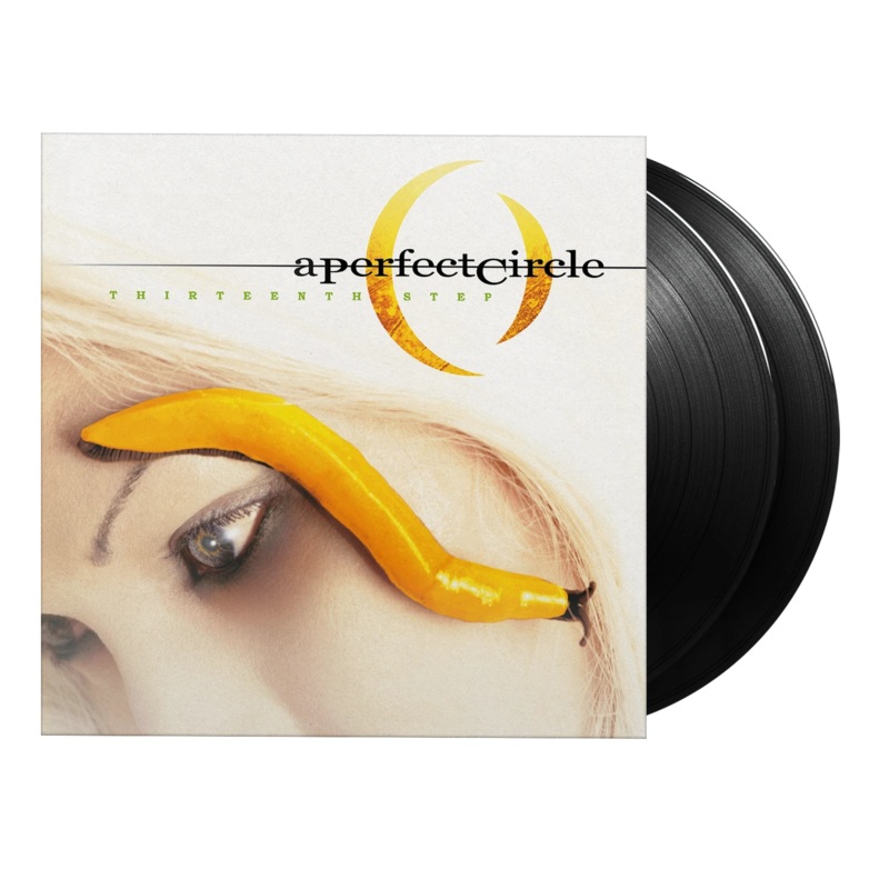 Thirteenth Step – Vinyl