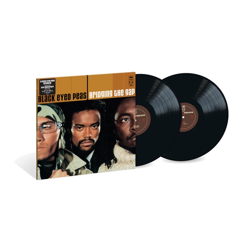 Bridging the Gap (2LP)